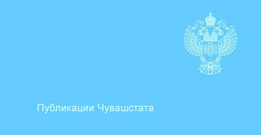 Чувашстат подготовил информацию о распределении хозяйствующих субъектов в Чувашской Республике на 1 июля 2019 года
